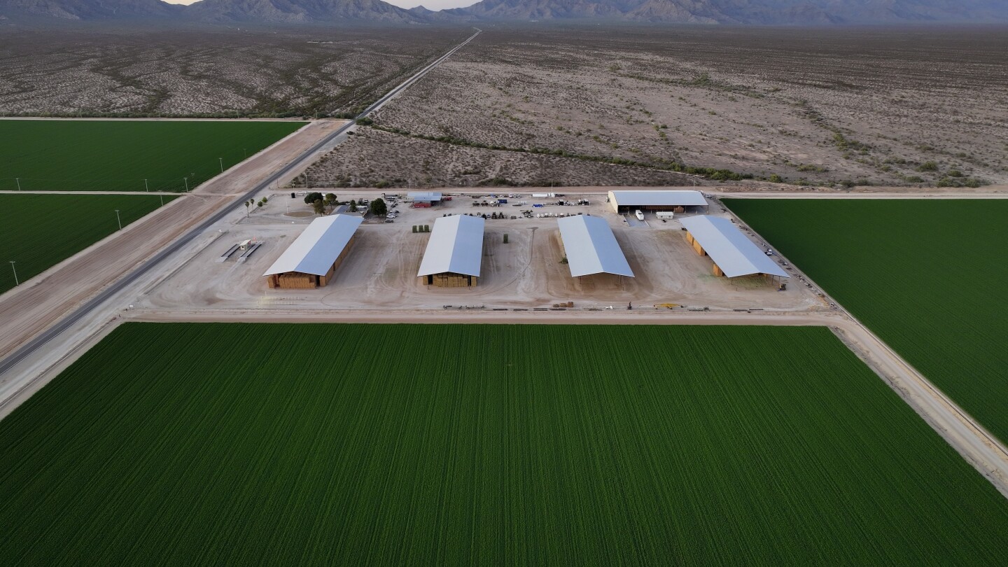 Tensions are bubbling up at thirsty Arizona alfalfa farms as foreign firms exploit unregulated water #Tensions #bubbling #thirsty #Arizona #alfalfa #farms #foreign #firms #exploit #unregulated #water